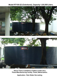 cadbury-thane-rhino-small